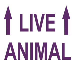  Live Animal