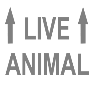  Live Animal