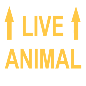  Live Animal