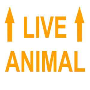  Live Animal