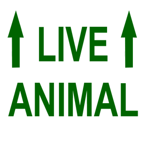  Live Animal