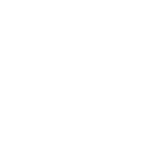     Ubermensch -   28 .