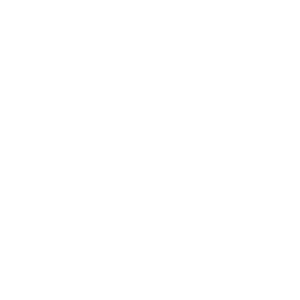      White Power -   21 .