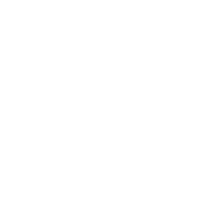      -   133 .