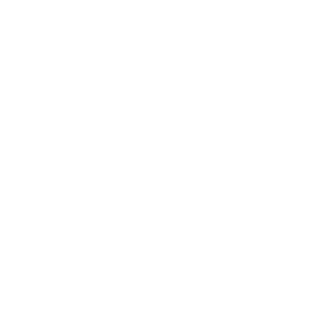         -   133 .