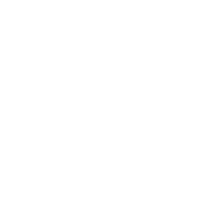      4x4 Off-road Driver -   103 .