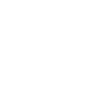      ! -   133 .