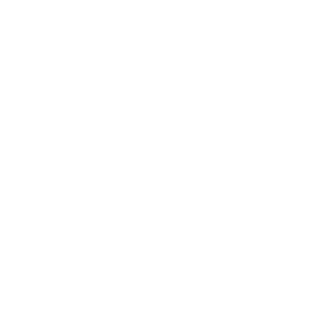        -   96 .
