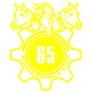  65  