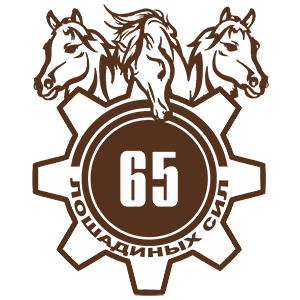  65  