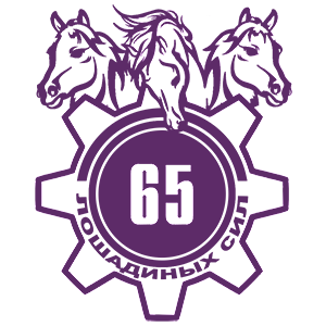 65  