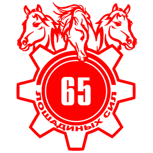  65  