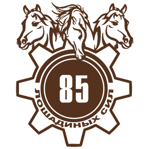  85  