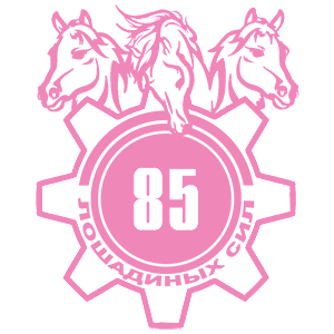  85  