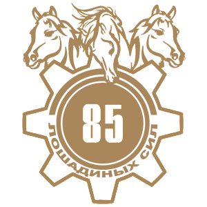  85  