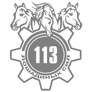  113  