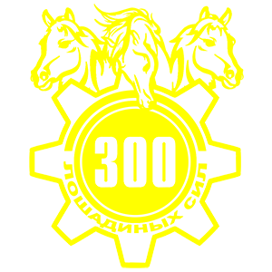  300  