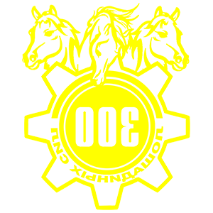      300   -   149 .