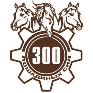  300  