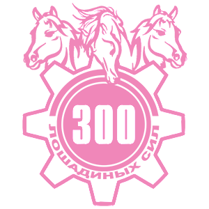  300  