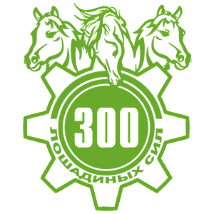  300  