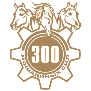  300  