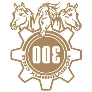 ����������� �� ����������� ������-���������� �������� �300 ��������� ��� - ������ �� 149 ���.