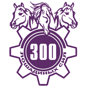  300  