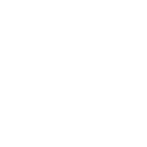     300   -   149 .