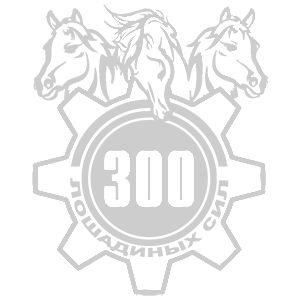  300  
