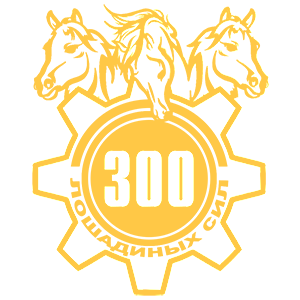  300  