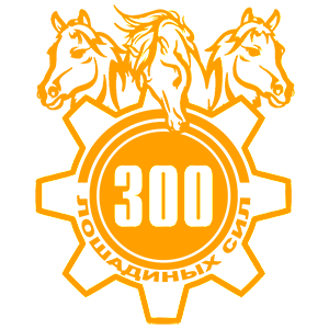  300  