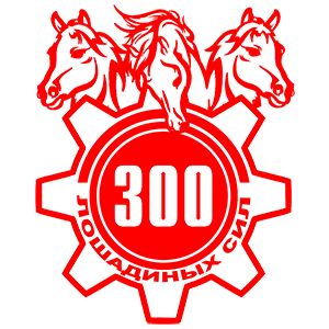  300  