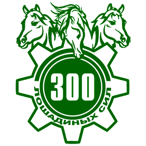  300  