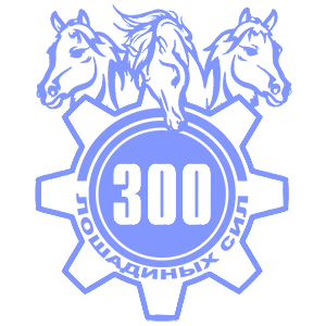  300  