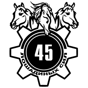  45  