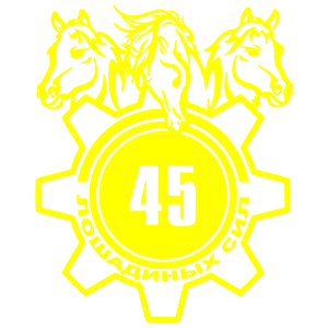  45  