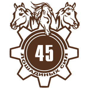 45  