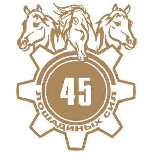  45  