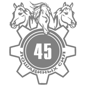 45  