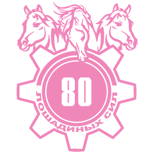  80  