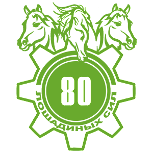  80  