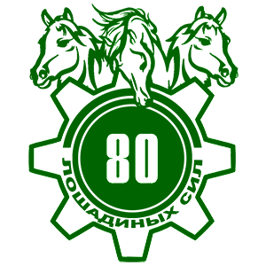  80  