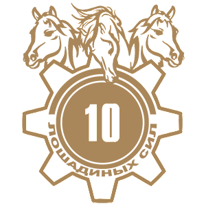  10  