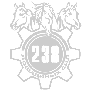  238  