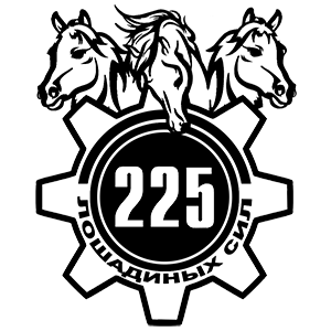  225  