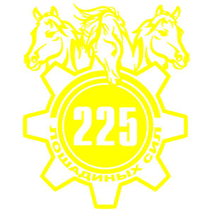  225  