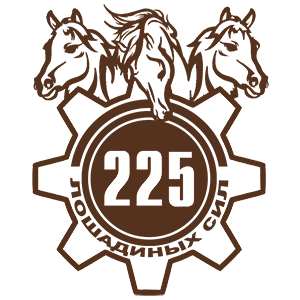  225  