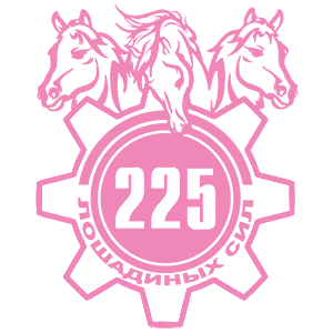  225  