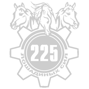  225  